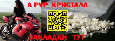 стаф Нальчик