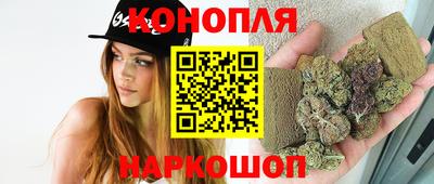 стаф Нальчик