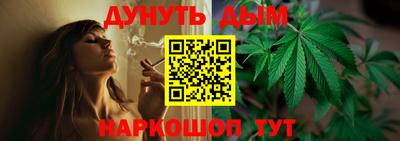 стаф Нальчик