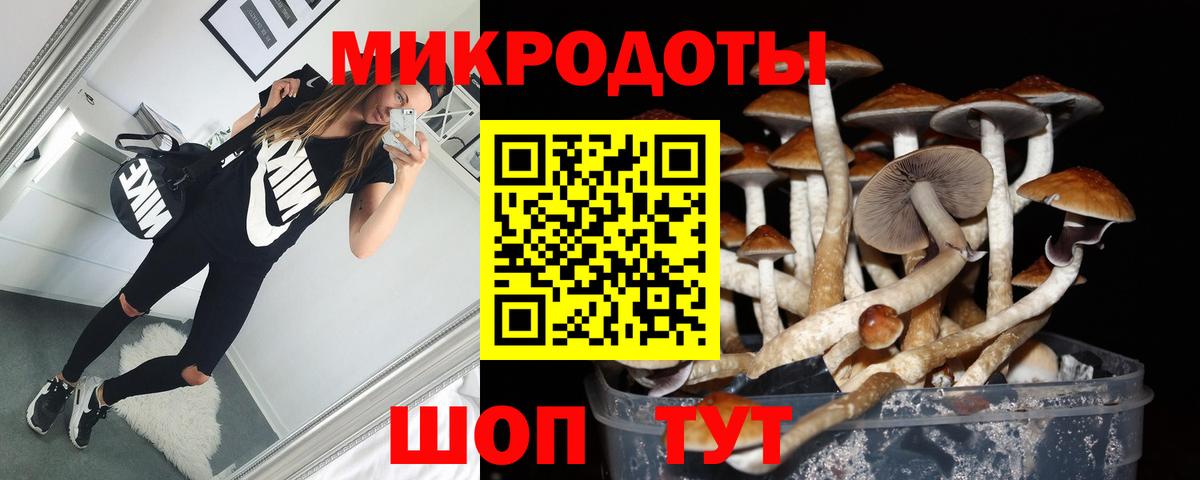 Заинск  где купить наркоту  Вход с VPN  Псилоцибиновые грибы Psilocybe 